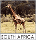 South Africa tours